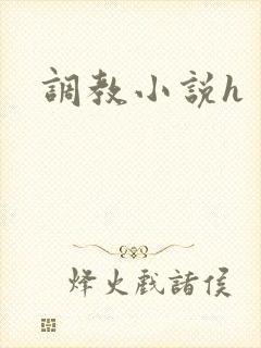 调教小说h封面