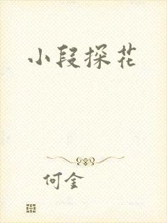 小段探花