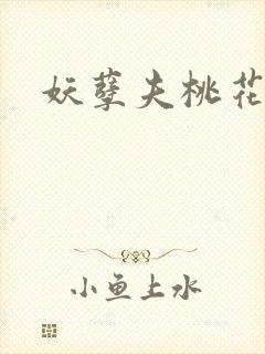 妖孽夫桃花妻