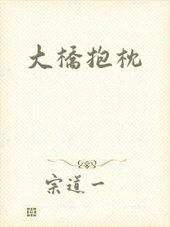 大桥抱枕