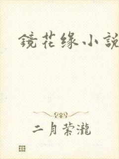 镜花缘小说