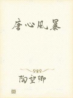 唐心风暴封面