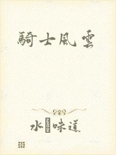 骑士风云封面