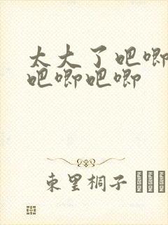 太大了吧唧吧唧吧唧吧唧封面