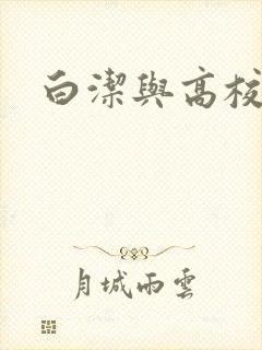 白洁与高校长封面