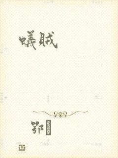 蚁贼封面