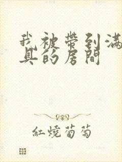 我被带到满是玩具的房间封面