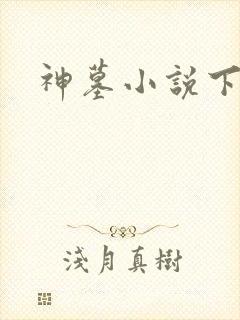 神墓小说下载
