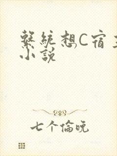 系统想C宿主的小说