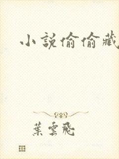 小说偷偷藏不住