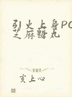引火上身POP芝麻糖丸封面
