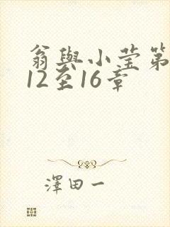 翁与小莹第十部12至16章