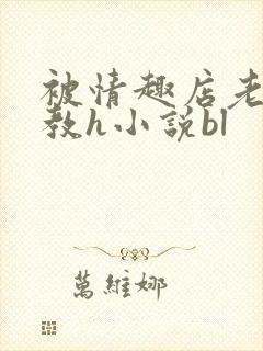 被情趣店老板调教h小说bl封面