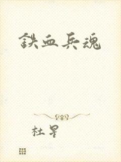 铁血兵魂封面