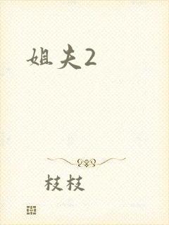 姐夫2封面
