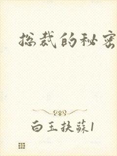 总裁的秘密情人