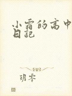 小霜的高中成长日记封面