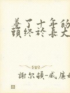养了十年的小丫头终于长大了