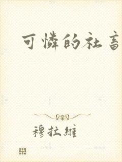 可怜的社畜