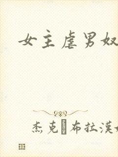 女主虐男奴封面