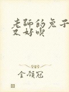 老师的兔子又大又好吃封面