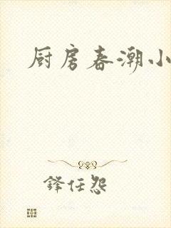 厨房春潮小说