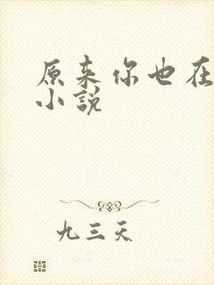 原来你也在这里小说