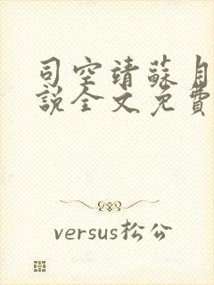 司空靖苏月汐小说全文免费阅读