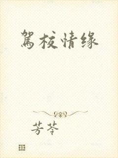 驾校情缘