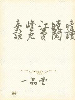 秦峰江晓晴的小说免费阅读封面