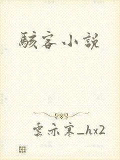 骇客小说