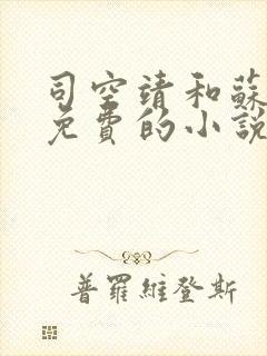 司空靖和苏月汐免费的小说笔趣阁