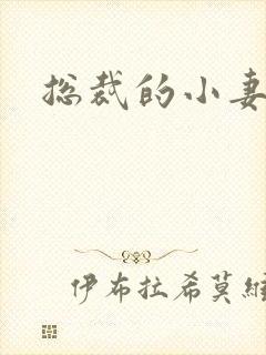 总裁的小妻子