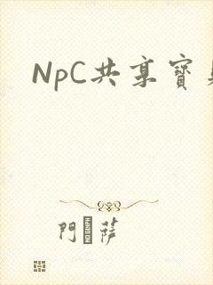 NpC共享宝贝