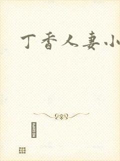 丁香人妻小说封面