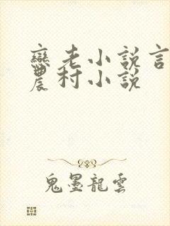 恋老小说言情网农村小说