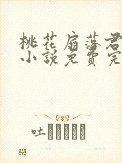 桃花扇落君不还小说免费完整版