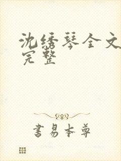 沈绣琴全文阅读完整
