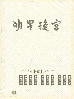 明星后宫