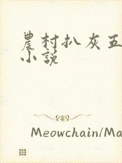 农村扒灰五十篇小说封面