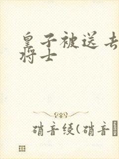 皇子被送去犒劳将士