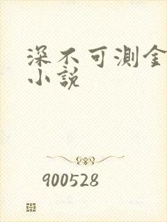 深不可测金银花小说