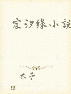 宸汐缘小说
