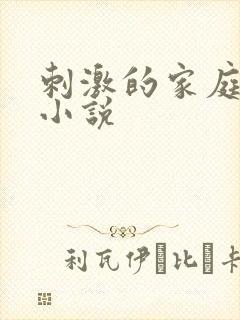 刺激的家庭乱仑小说