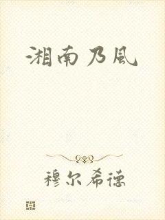 湘南乃风封面