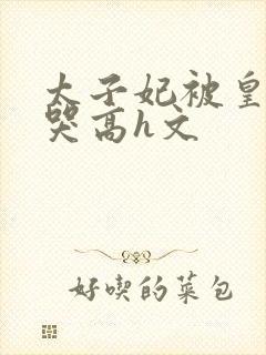 太子妃被皇上c哭高h文
