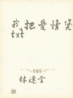 我把爱情煲成汤txt封面