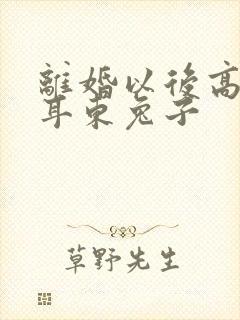 离婚以后高干 耳东兔子封面