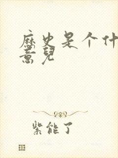 历史是个什么玩意儿封面