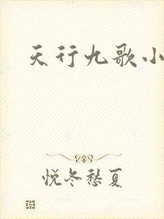 天行九歌小说
